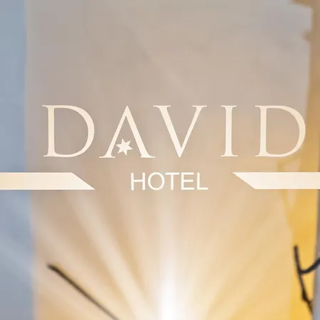 Hotell David An Der Donau