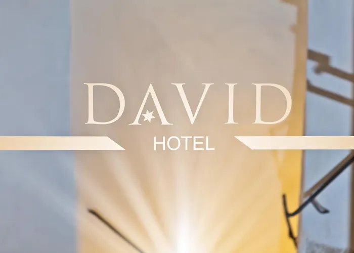 Hotell David An Der Donau