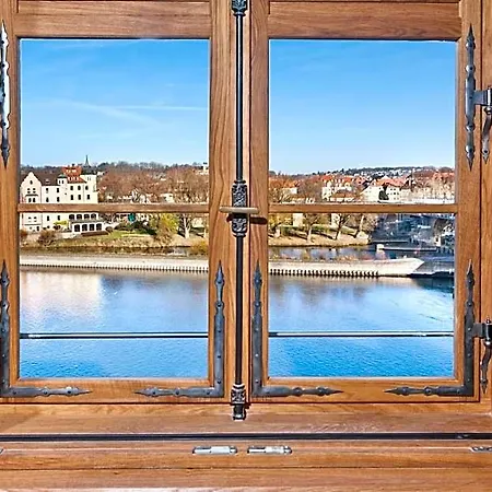 David An Der Donau Regensburg
