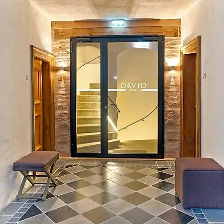 Hotel David An Der Donau 4*