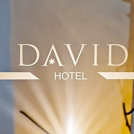 David An Der Donau Hotel