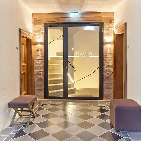 ホテル David An Der Donau 4*