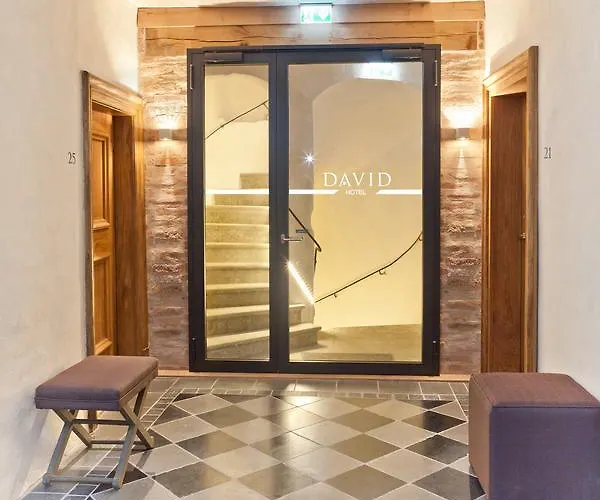 מלון David An Der Donau 4*